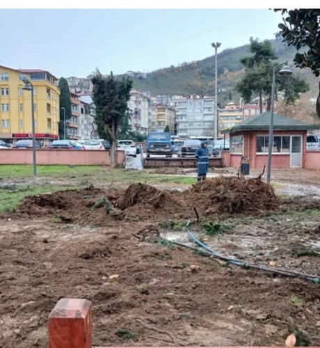 Meydan düzenlemesi kapsamında yapılan çalışmaları yerinde inceleyen çevre sakinleri, ağaçların tahliye edilme biçimini "vicdansızca" olarak nitelendirdi. Görgü tanıklarının ifadelerine göre; devasa ağaçların önce dalları budandı, ardından kepçelerle köklerinden sökülerek kamyonlarla bilinmeyen bir yere nakledildi.