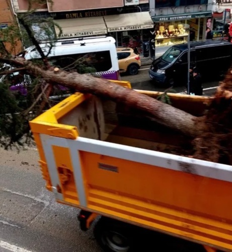 "Önce Dalları Kesildi, Sonra Kökünden Söküldü"