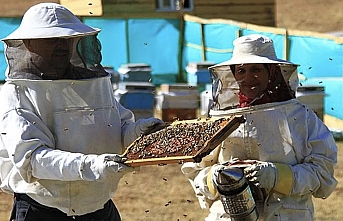 10 Ton Üretiliyor, 100 Ton Satılıyor: Anzer Balında "Sahte" Alarmı!