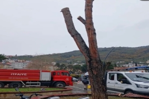 Cumhuriyet Meydanı’nda Ağaç Kıyımı Tepki Çekiyor: "Gölgesinde Yıllarımız Geçmişti"