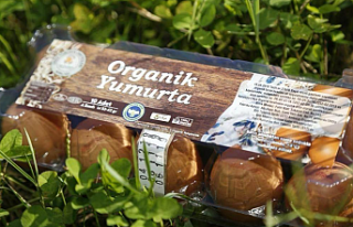 Ordu’da Yumurta Sektörü Başkan Güler ile Şahlandı:...