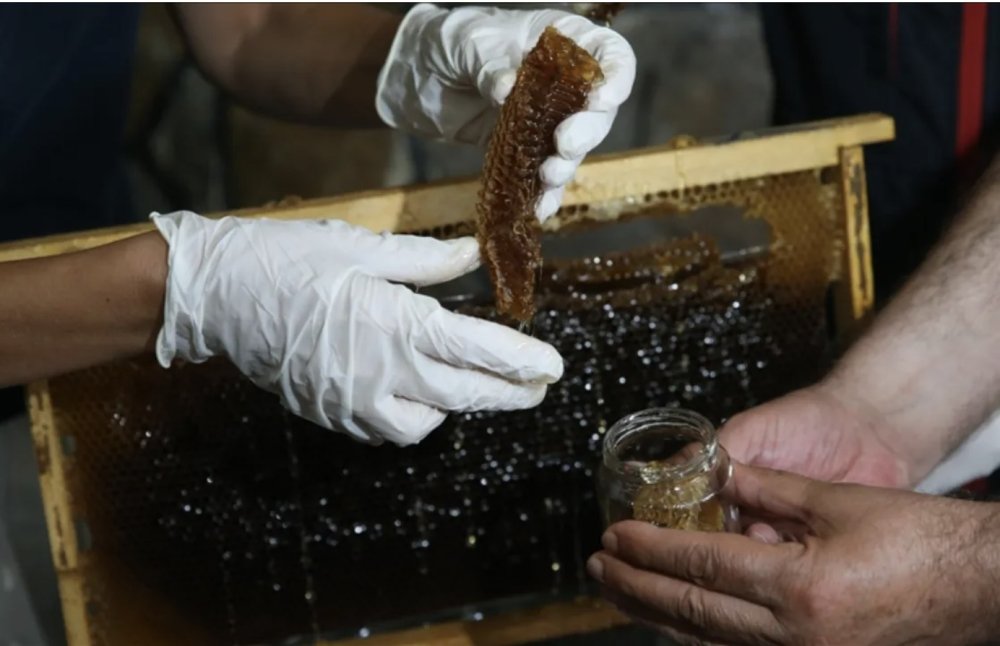 10 Ton Üretiliyor, 100 Ton Satılıyor: Anzer Balında "Sahte" Alarmı!