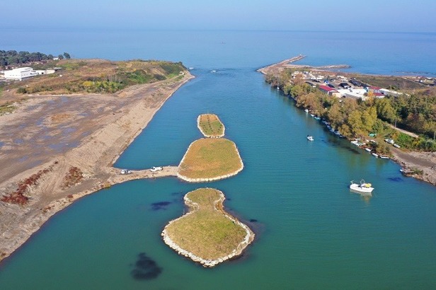 Ordu'nun Zarif Misafirleri: Kuğuların Vedası mı, Vefası mı?